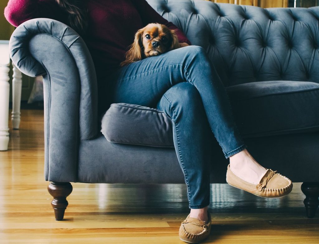 femme assise sur un canapé portant un pull bordeaux un jean et des mocassins avec un chien la tête posée sur ses jambes